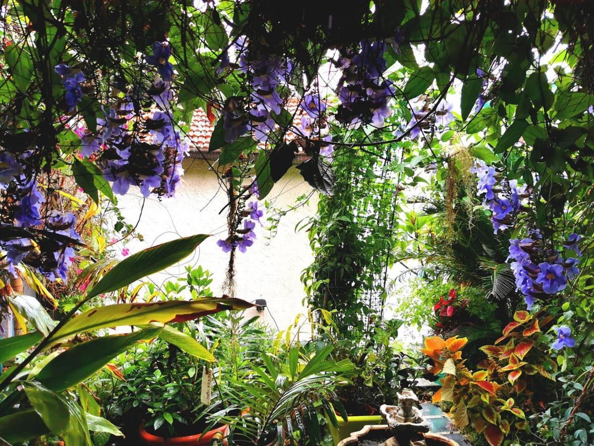 Romantic Casa Lorenzina Affittacamere Ventimiglia Exteriér fotografie
