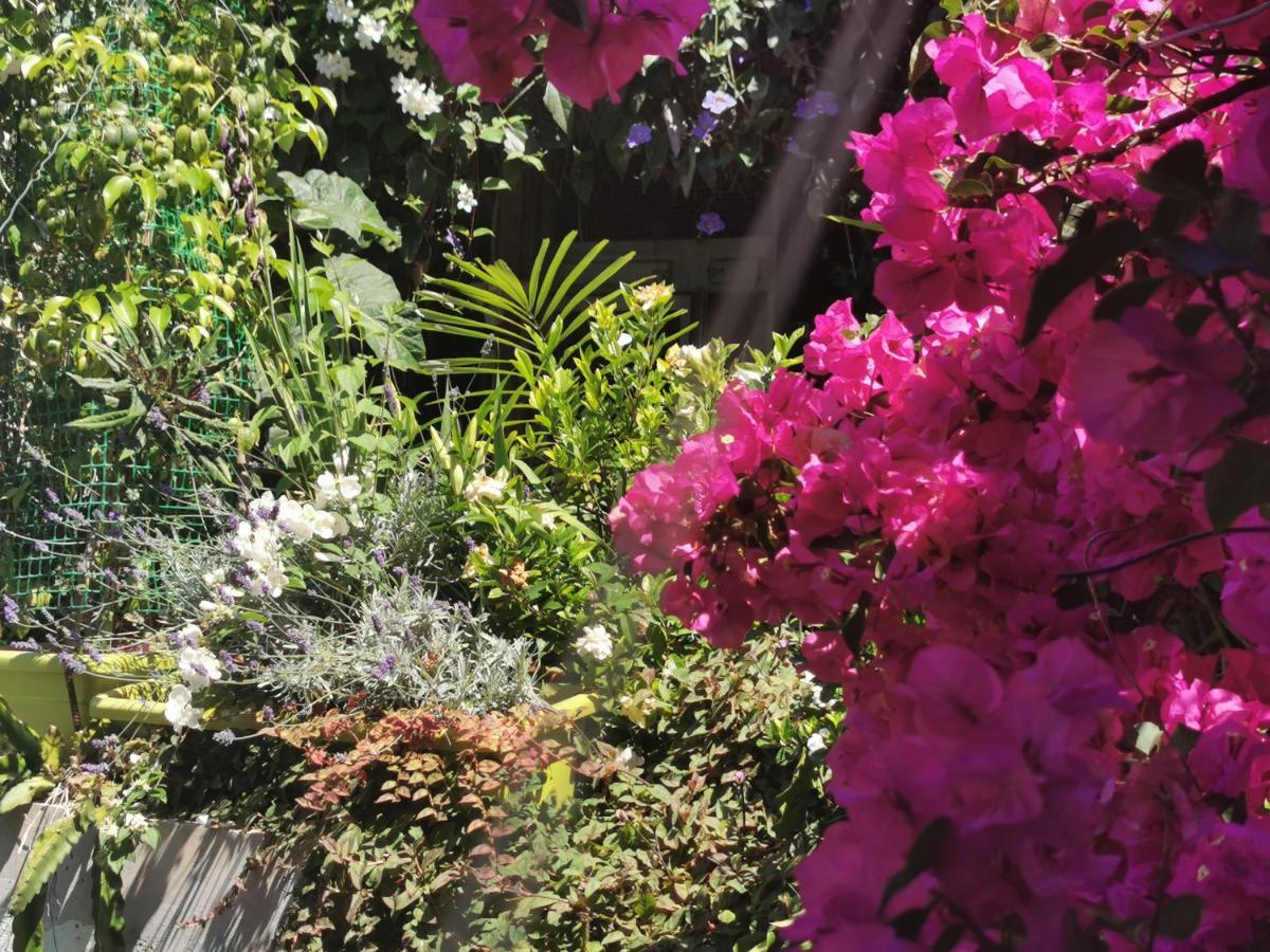 Romantic Casa Lorenzina Affittacamere Ventimiglia Exteriér fotografie