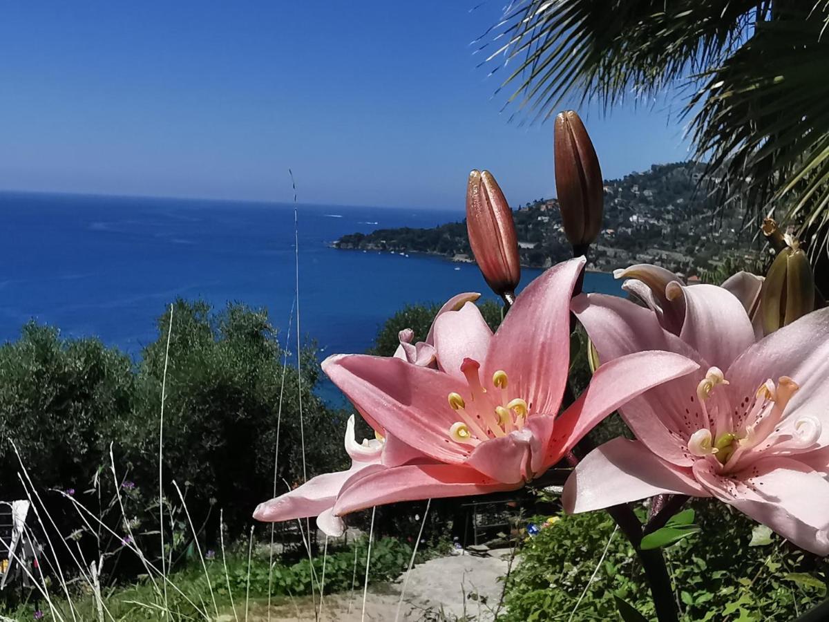 Romantic Casa Lorenzina Affittacamere Ventimiglia Exteriér fotografie