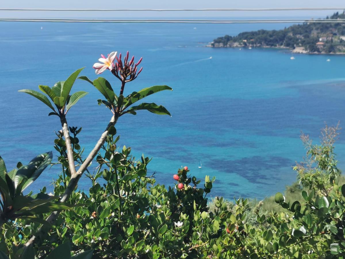 Romantic Casa Lorenzina Affittacamere Ventimiglia Exteriér fotografie
