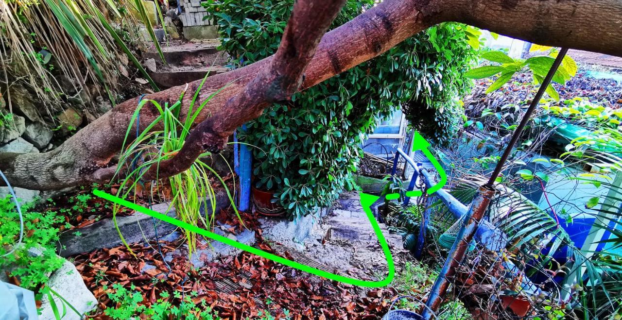 Romantic Casa Lorenzina Affittacamere Ventimiglia Exteriér fotografie