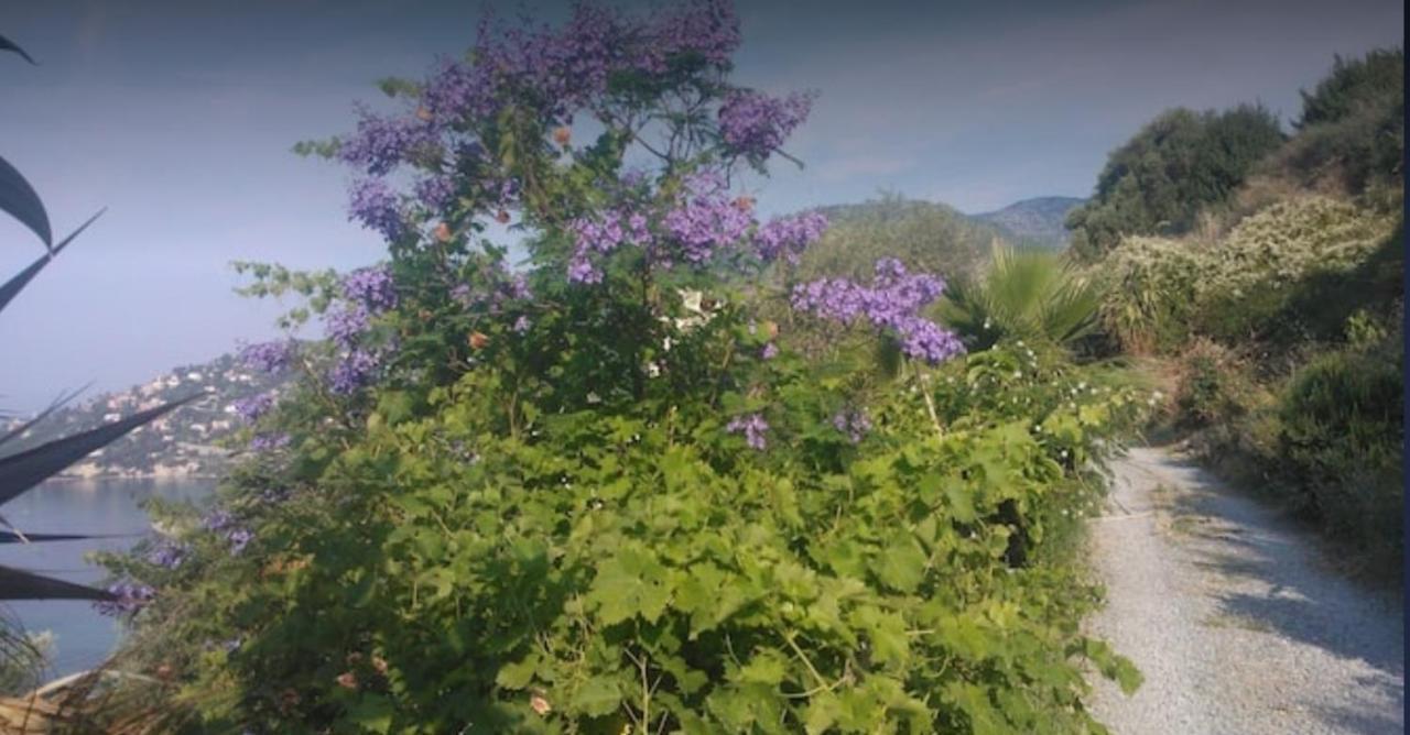 Romantic Casa Lorenzina Affittacamere Ventimiglia Exteriér fotografie