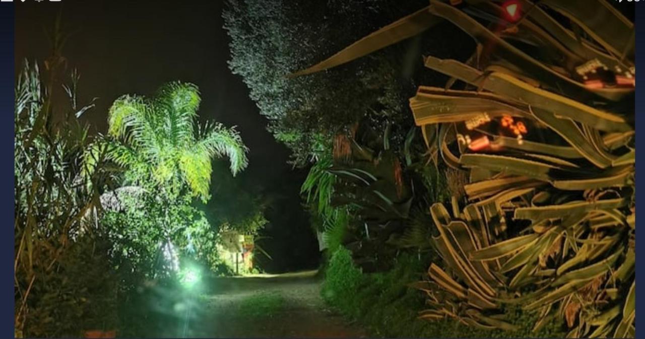 Romantic Casa Lorenzina Affittacamere Ventimiglia Exteriér fotografie