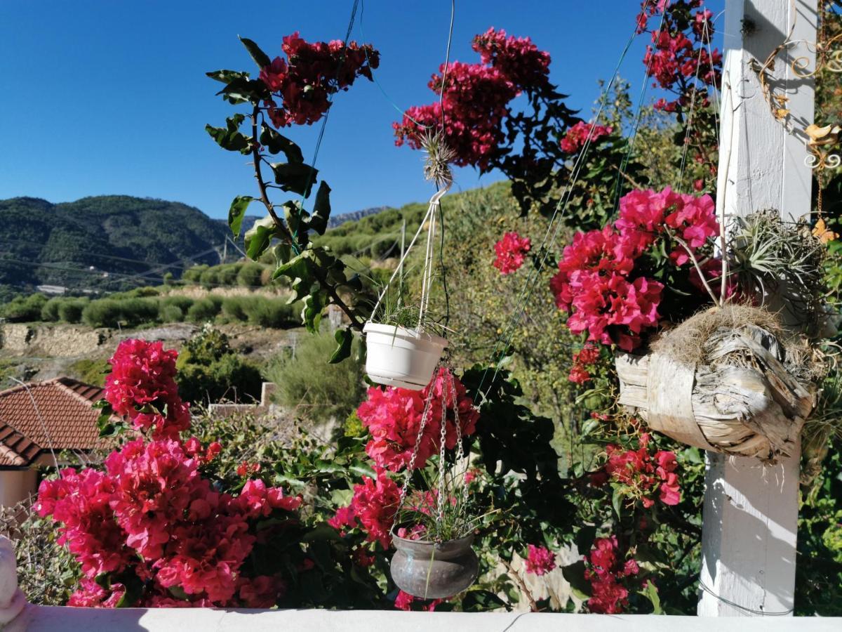 Romantic Casa Lorenzina Affittacamere Ventimiglia Exteriér fotografie